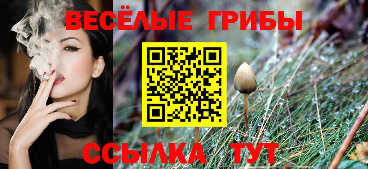 Галлюциногенные грибы Cubensis Вольск